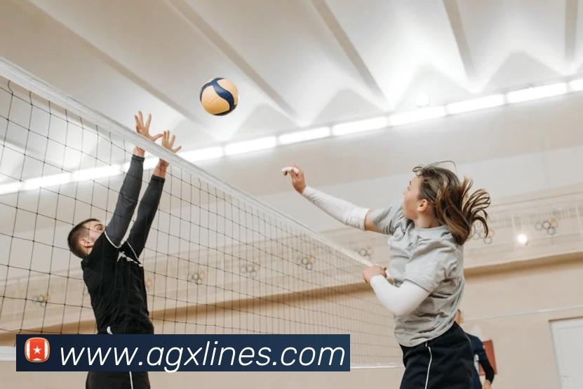 多媒体互动体验